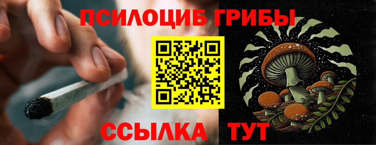 Грязи  Галлюциногенные грибы Psilocybine cubensis  где купить наркоту  Вход с VPN 